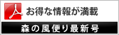 森の風便り最新号